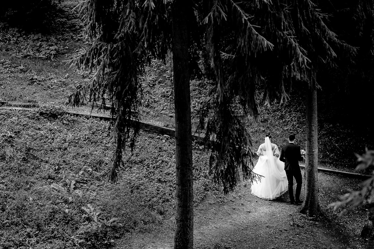 Nunta-la-Cort-Gallery-Wedding-Garden-Targu-Mures-Fotograf-Mures0.jpg
